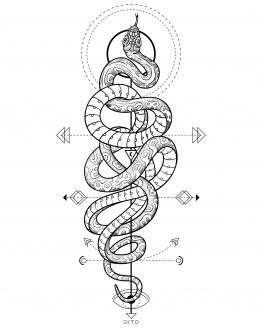 tee-shirt serpent tee-shirt serpent