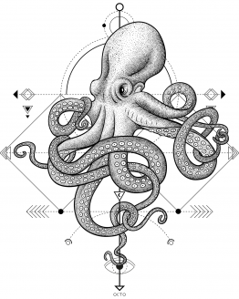 kraken t-shirt kraken